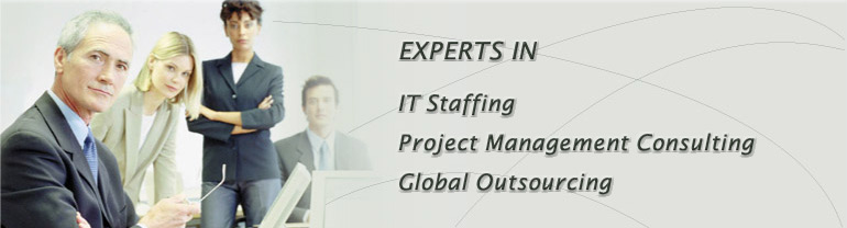 IMSI Experts in IT Staffing and Project Management Consulting
